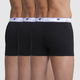 Champion Boxer Legacy 3 Pack