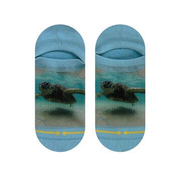 MERGE4 Dave Nelson Turtle No Show