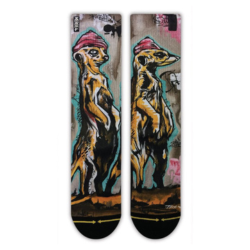 MERGE4 Taylor Reinhold Meerkat  