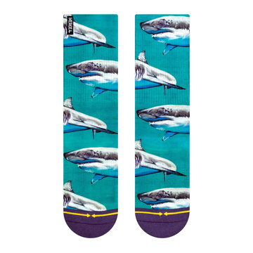 MERGE4 Taylor Reinhold Sharks