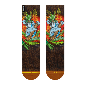 MERGE4 Taylor Reinhold Koala